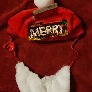 The Santa Hat Set for Dog